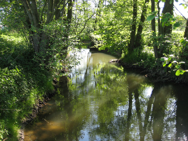 Angeln ab 04.04. 2020 an der Lumda bis auf Widerruf